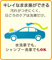 水洗車でもシャンプー洗車でもOK